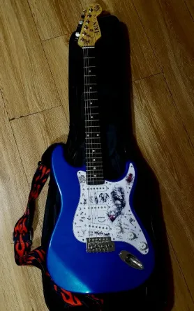 Ელექტრო გიტარა თბილისი