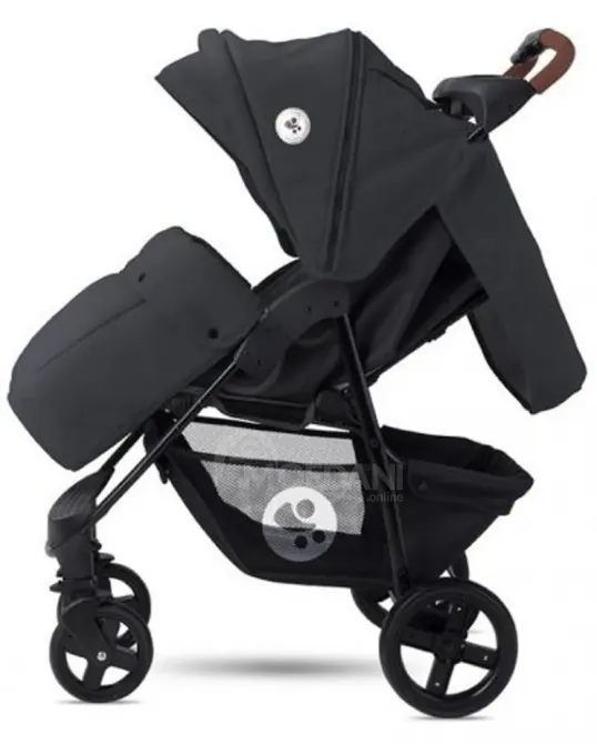 Დასაკეცი საბავშვო ეტლის კომპლექტი Lorelli Bertoni Daisy SET თბილისი - photo 4