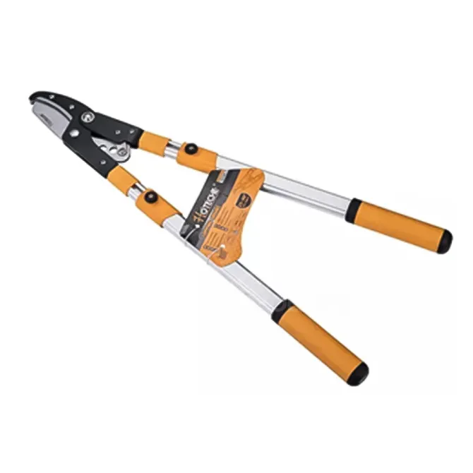 Ტოტების საჭრელი მაკრატელი ტელესკოპური Hoteche თბილისი - photo 1