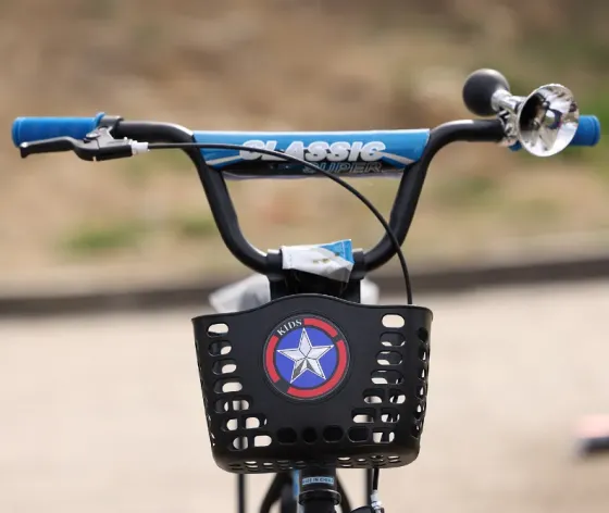 Ველოსიპედი ლურჯი Stels 20" თბილისი