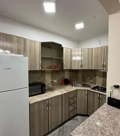 ქირავდება 2 ოთახიანი ბინა 55მ² 10/15 სართ თბილისი