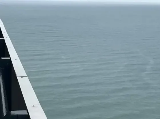 იყიდება 1 ოთახიანი ბინას 30მ² 42/47 სართ ბათუმი