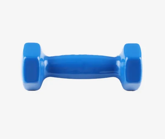 Ჰანტელი 1, 0 კგ (1 ცალი) თბილისი