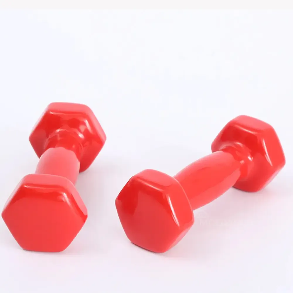 Ჰანტელი 0, 5 კგ (1 ცალი) წითელი თბილისი - photo 1