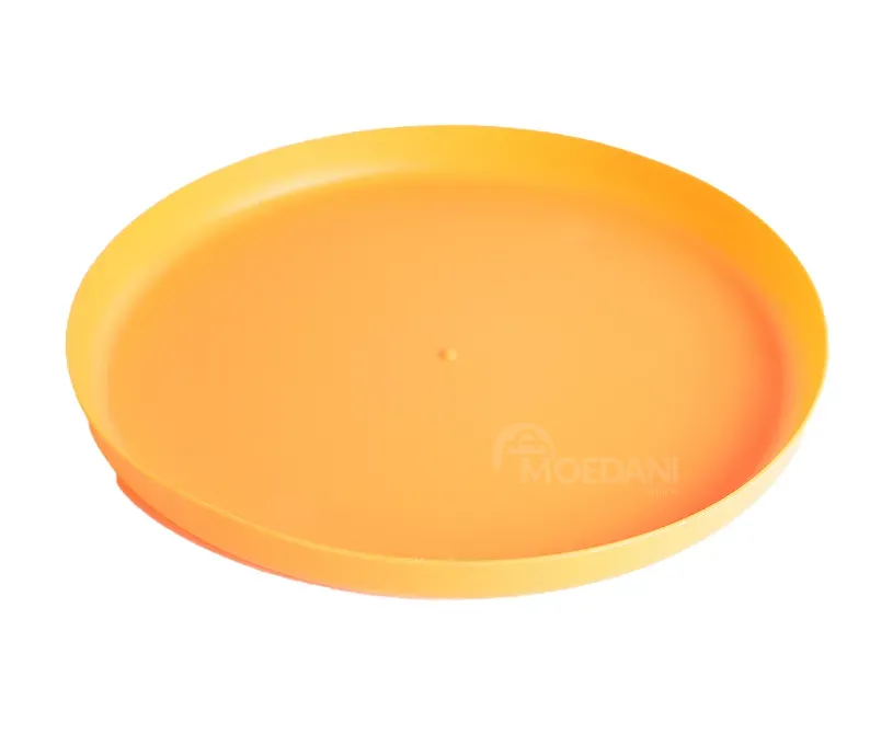 Ფრიზბი და სპორტული ინვენტარი ასორტიმენტში მთავარ ადგილს იკავებს თბილისი - photo 2