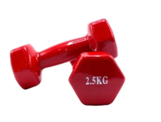 Ჰანტელი 2, 5 კგ (1 ცალი) წითელი თბილისი