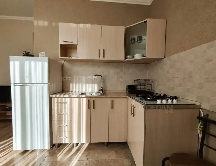 ქირავდება 2 ოთახიანი ბინა 40მ² 5/5 სართ თბილისი - photo 3