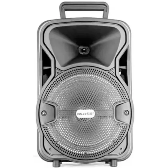 Დინამიკი Ailiang Kolav A1 თბილისი