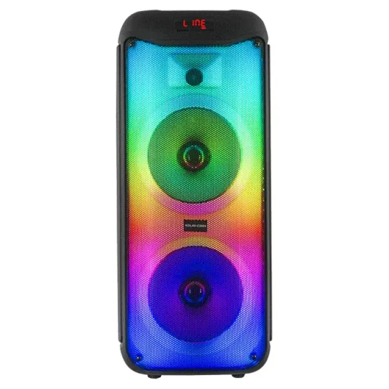 Დინამიკი (პორტატული აკუსტიკური სისტემა) Ailiang Kolav-C2804 თბილისი