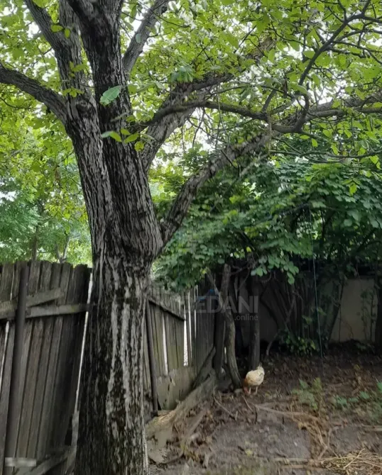 აგარაკი 464м² ხაშური - photo 9