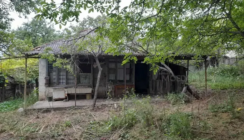 აგარაკი 464м² ხაშური - photo 1