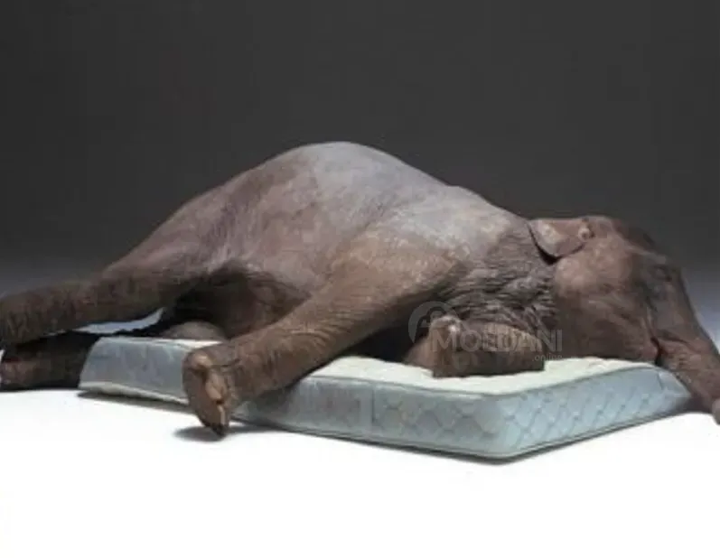 Матрас, бесплатная доставка! В наличии. Любой размер. Тбилиси - изображение 3