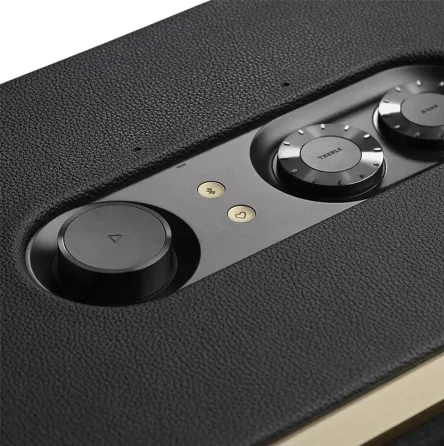 Პორტატული დინამიკი JBL Authentics 300 (100 W) Black თბილისი