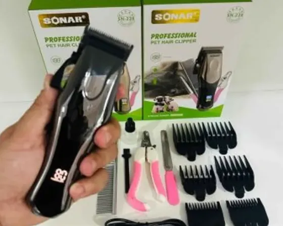 Საკრეჭი ძაღლების თბილისი