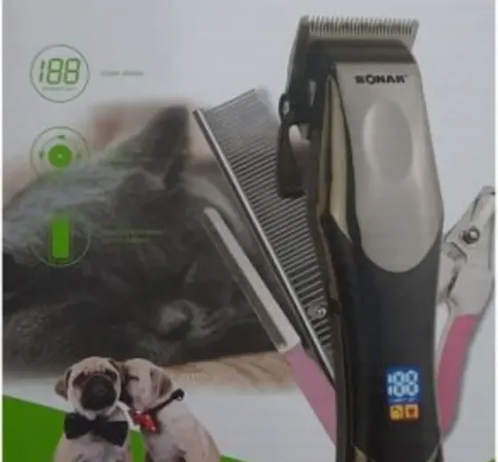 Საკრეჭი ძაღლების თბილისი