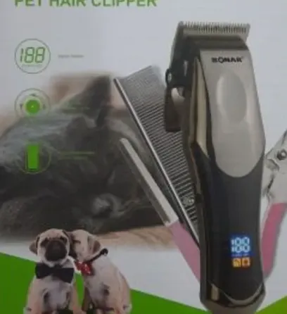 Საკრეჭი ძაღლების თბილისი