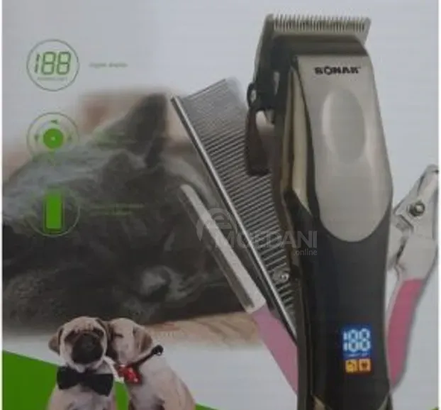 Საკრეჭი ძაღლების თბილისი - photo 3