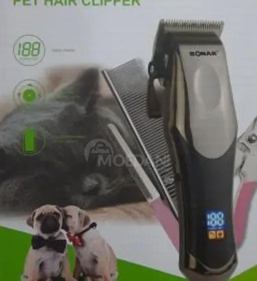 Საკრეჭი ძაღლების თბილისი - photo 2