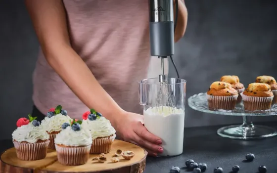 Ხელის ბლენდერი ETA 221590000 Spesso II ვერცხლისფერი თბილისი