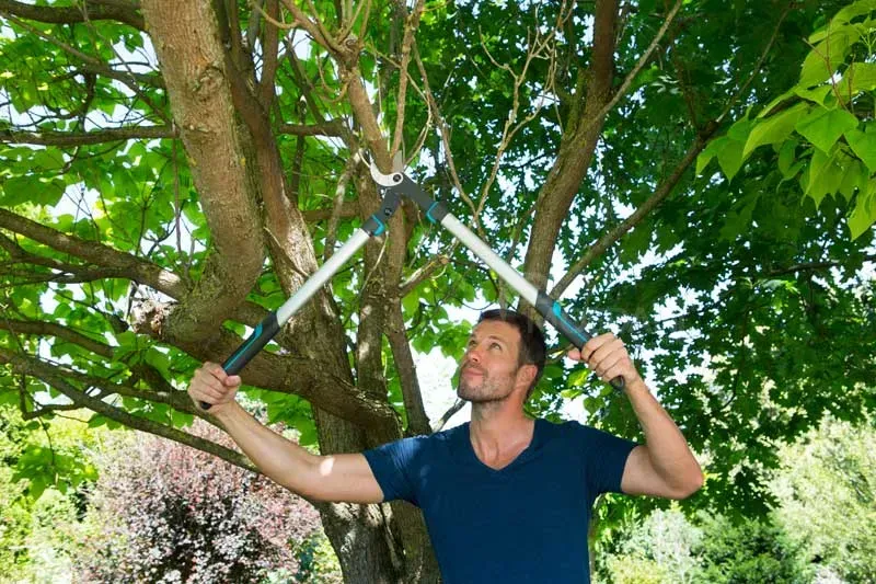 Მინი შესაწამლი აპარატი Hyundai HIM.KB-100 (2.8 L) განვადებით, გარანტიითა და ადგილზე მიწოდებით მთელი თბილისი - photo 3