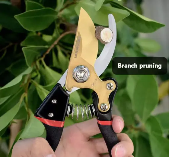 Secateurs (pruning shears) Garden Tools Golden ET-020223 Tbilisi