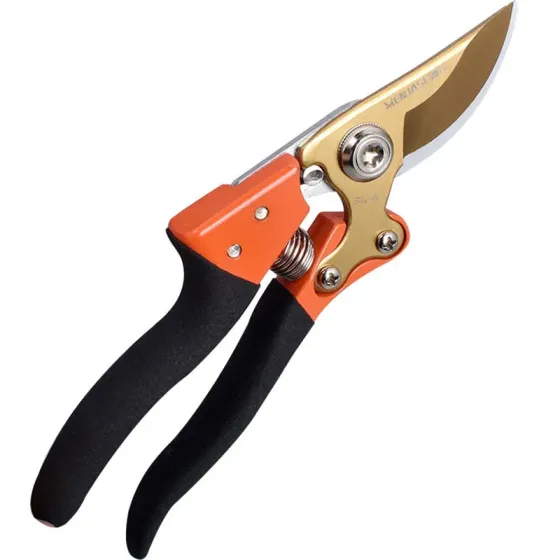 Secateurs (pruning shears) Garden Tools Golden ET-020223 Tbilisi