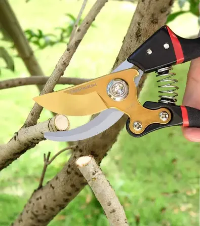 Secateurs (pruning shears) Garden Tools Golden ET-020223 Tbilisi