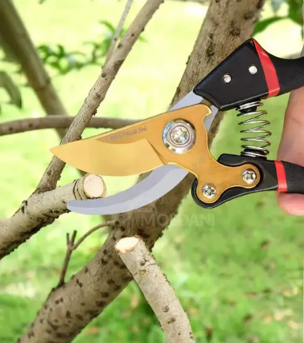 Სეკატორი (სასხლავი მაკრატელი) Garden Tools Golden ET-020223 თბილისი - photo 2