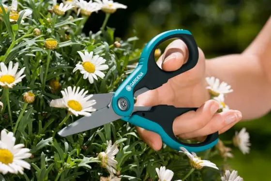 Ბაღის მაკრატელი Gardena Schnippschnapp თბილისი