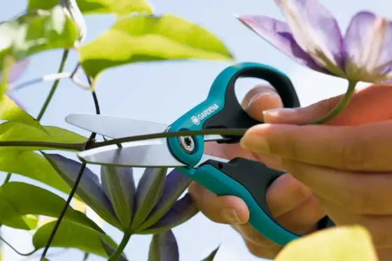 Ბაღის მაკრატელი Gardena Schnippschnapp თბილისი