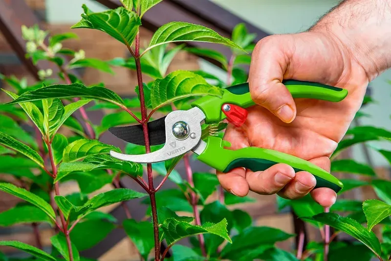 Სეკატორი Verto 15G200 (185 მმ) თბილისი - photo 3