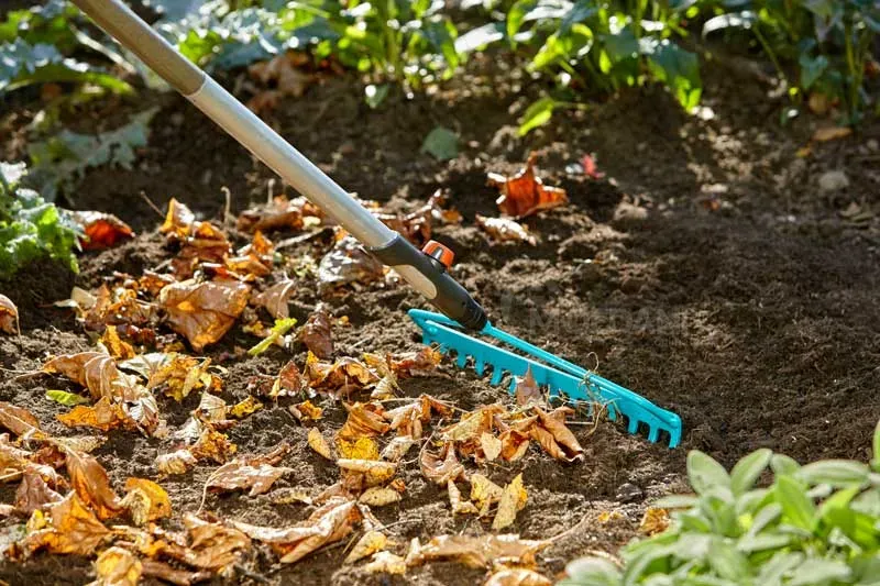 Მეტალის ფოცხი Gardena CS BOW Rake 36 CM Wide თბილისი - photo 2