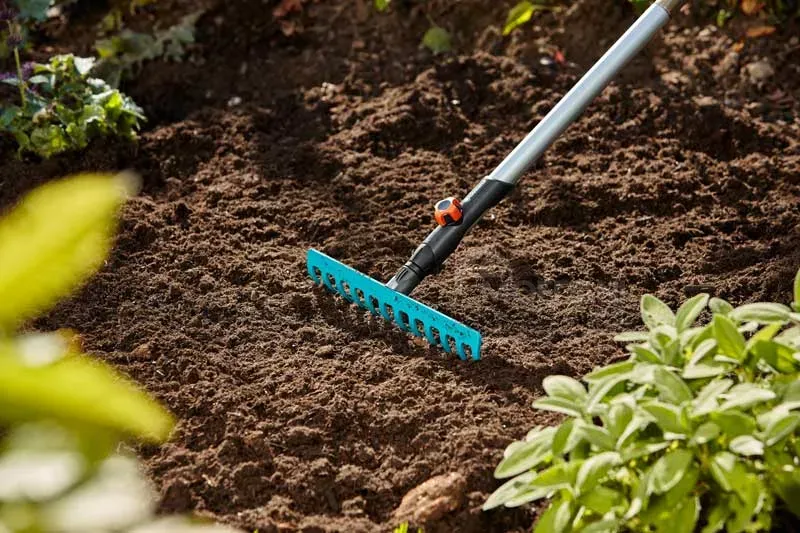 Ფოცხის თავაკი Gardena CS RYE, 36 CM Wide თბილისი - photo 3