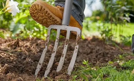 Ფიწალი Gardena Ergoline Fork თბილისი