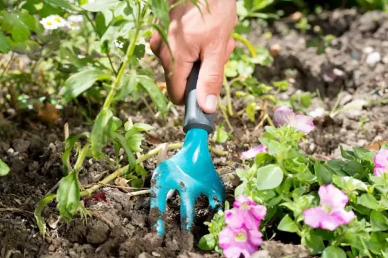 Ხელის ფიწალი Gardena Classic Flower Fork თბილისი