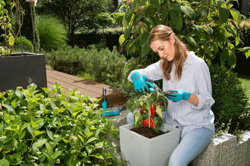 Ბაღის ხელის ინსტრუმენტების ნაკრები Gardena Basic SET Handtools თბილისი - photo 2