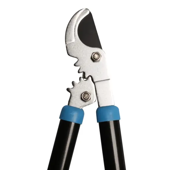 Ტოტების საჭრელი მაკრატელი Fixtec Fhlp0054 (54 სმ) თბილისი