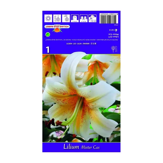 Ароматизатор Best BUY Capperline BES Lilium Mister Cas (1 шт.) — прекрасный выбор для любого дома. Тбилиси