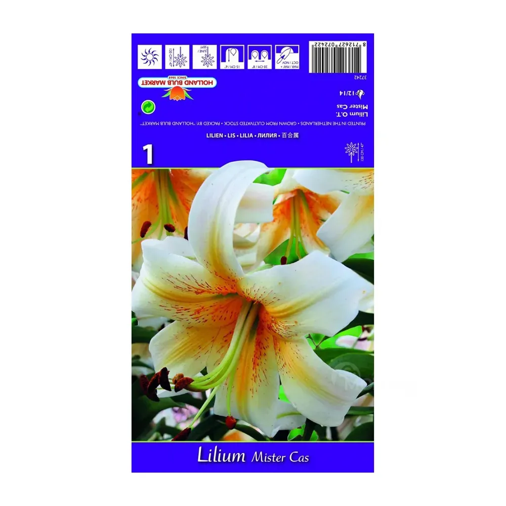 Ароматизатор Best BUY Capperline BES Lilium Mister Cas (1 шт.) — прекрасный выбор для любого дома. Тбилиси - изображение 1