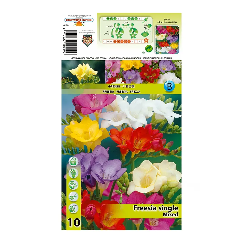 HBM Star Capperline STA Freesia Single Mixed (x10) Тбилиси - изображение 1