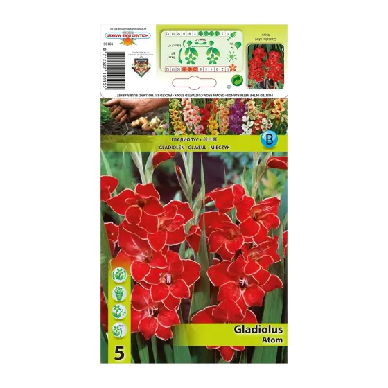 Круглая HBM Star Capperline STA Mini Gladiolus Atom (x5) Тбилиси
