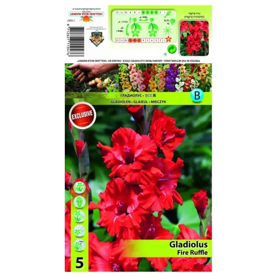 HBM STA Огненный рюш «Гладиод» (x5) Тбилиси