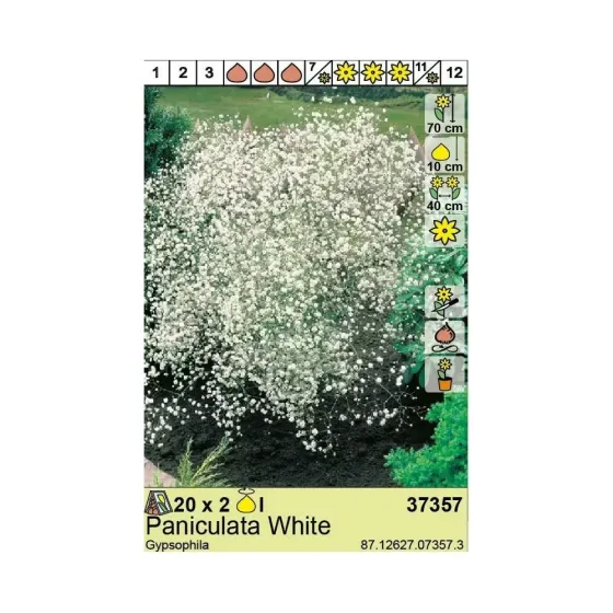HBM BES Гипсофила Pan. Белая (2 шт.) Тбилиси