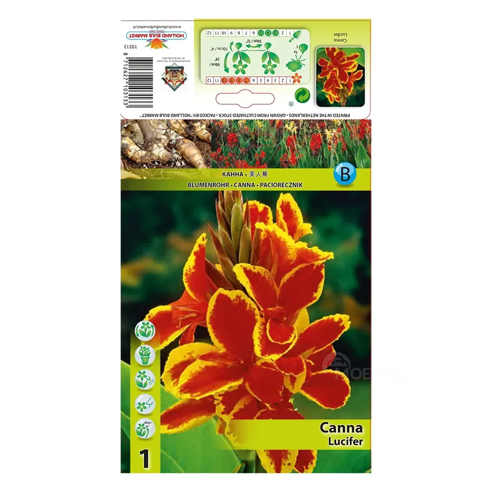 HBM STA Canna Lucifer (x1) I Тбилиси - изображение 1