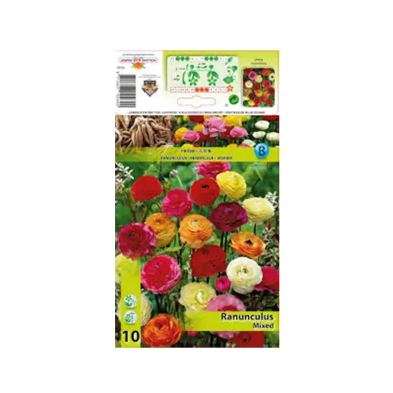 Круглый лютик смешанный HBM STA (10 шт.) Тбилиси