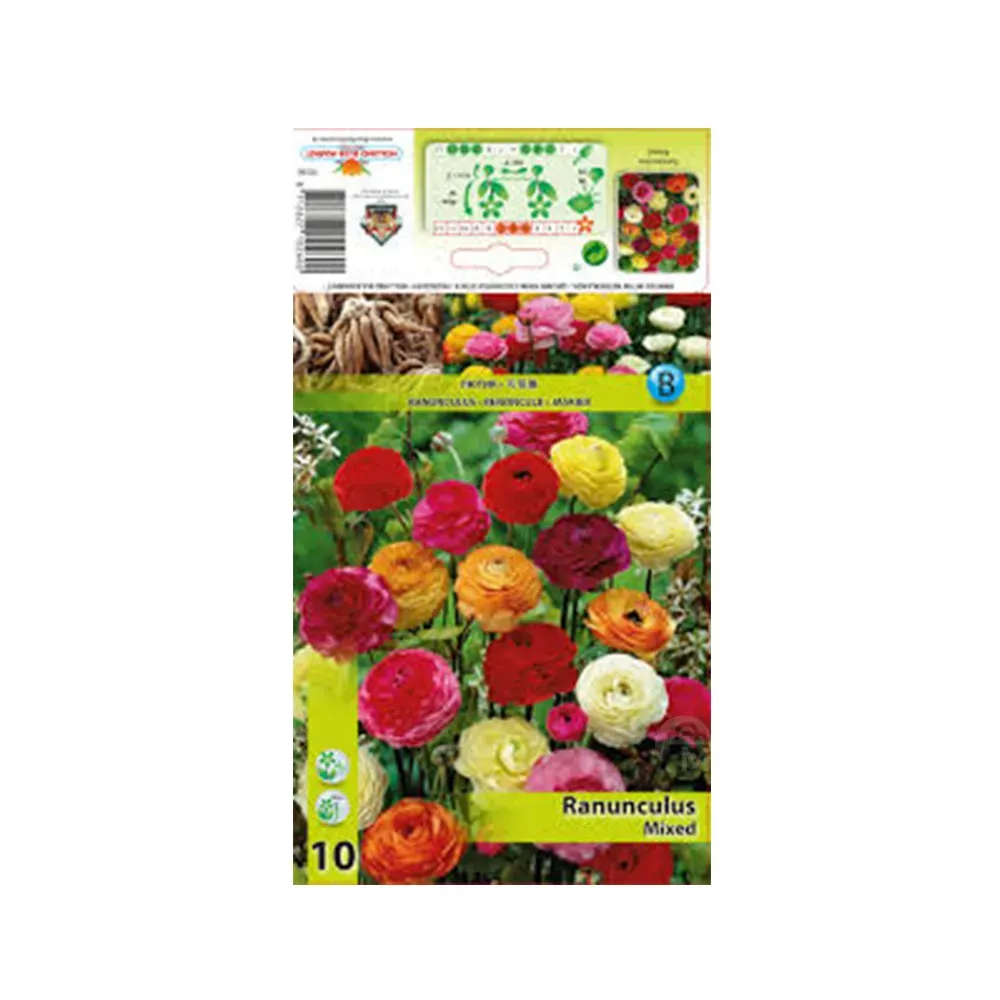 Круглый лютик смешанный HBM STA (10 шт.) Тбилиси - изображение 1