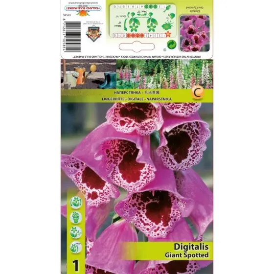 HBM STA Digitalis Giant Spotted (x1) Тбилиси