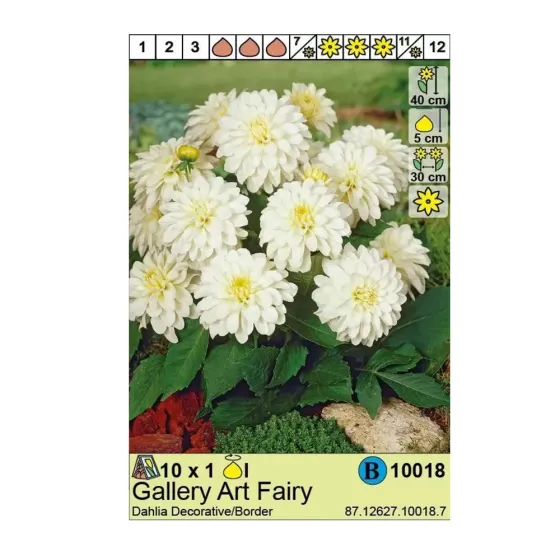 Районная художественная ярмарка HBM STA Dahlia Gallery (1 шт.) Тбилиси