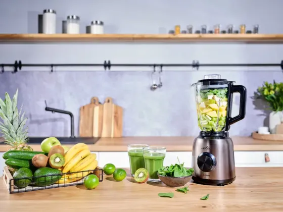 Სტაციონალური ბლენდერი ETA 901190000 Mira ვერცხლისფერი გახდება შეუცვლელი ასისტენტი თქვენს სამზარეულოშ თბილისი