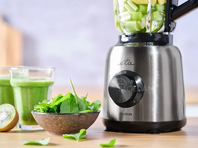 Სტაციონალური ბლენდერი ETA 901190000 Mira ვერცხლისფერი გახდება შეუცვლელი ასისტენტი თქვენს სამზარეულოშ თბილისი - photo 7